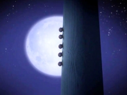 خیلی خیلی کوچک (1) (یک دسته حلزون)